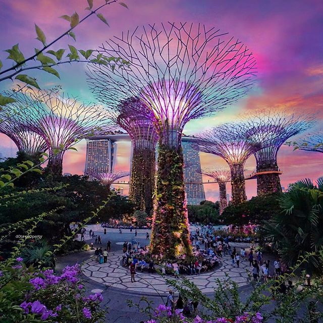 Gardens by the Bay